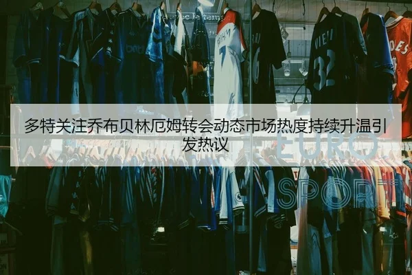 多特关注乔布贝林厄姆转会动态市场热度持续升温引发热议