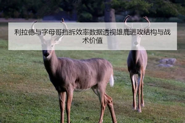 利拉德与字母哥挡拆效率数据透视雄鹿进攻结构与战术价值
